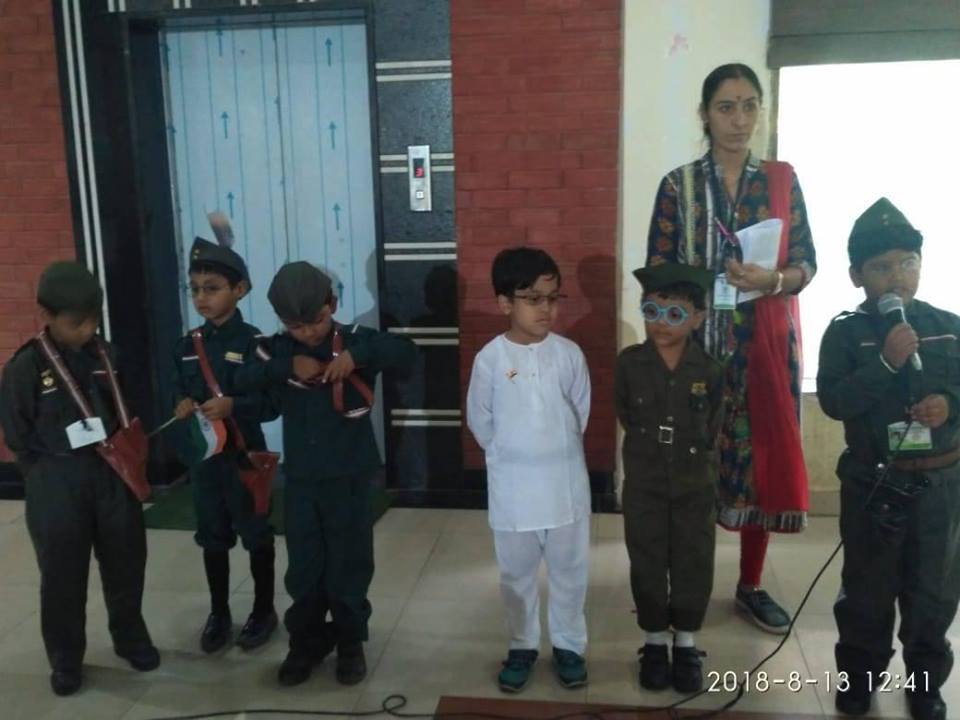 Activity Gallery