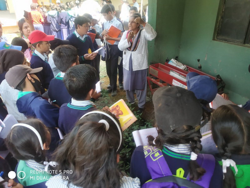 Activity Gallery
