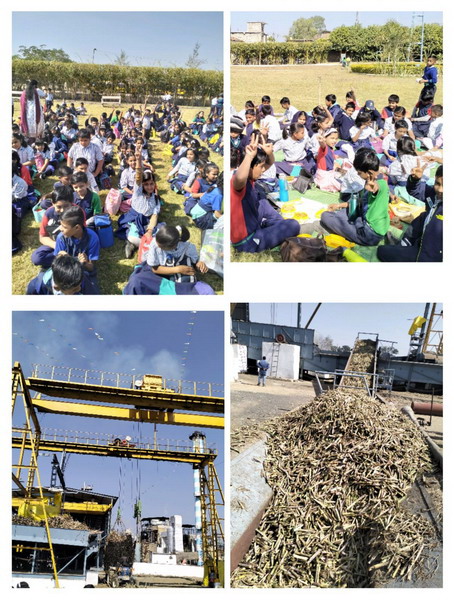 Activity Gallery