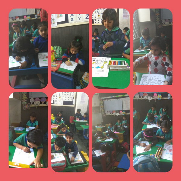 Activity Gallery
