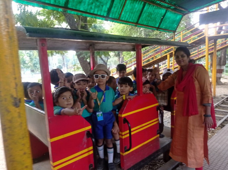 Activity Gallery